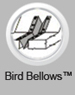 Bird Bellows